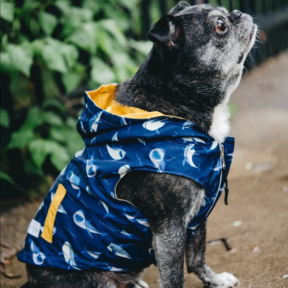 Lucy & co. The Shark Attack Reversible Raincoat water repellent nylon fabric Zip